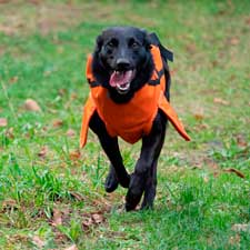 Xorsa Hunt- Hunting Dogs Vests